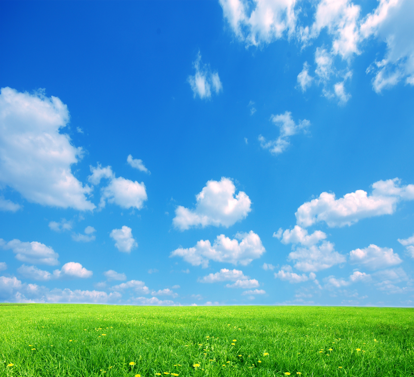 Nature Background